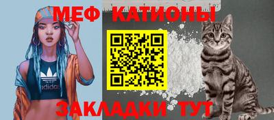бошки Тверь