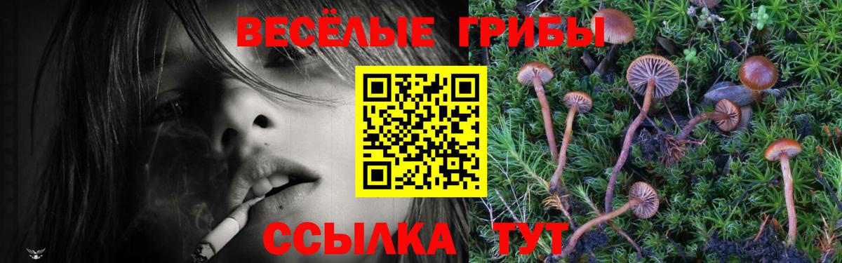 купить наркотики цена  Галлюциногенные грибы Psilocybe  Вход с VPN  Лянтор 